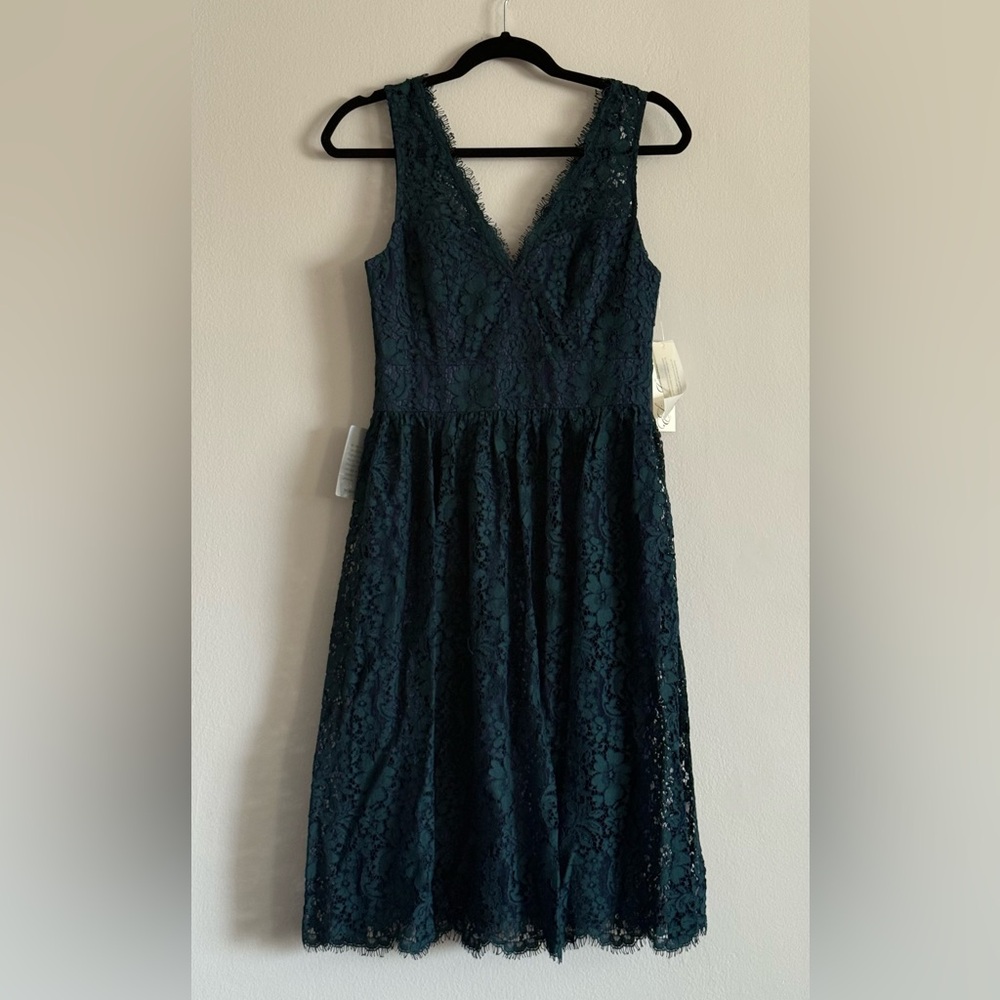 Eliza J Lace Midi Dress in Blue with Green Lace - Picture 6 of 7